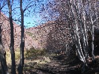 qua Rocca20100328 009